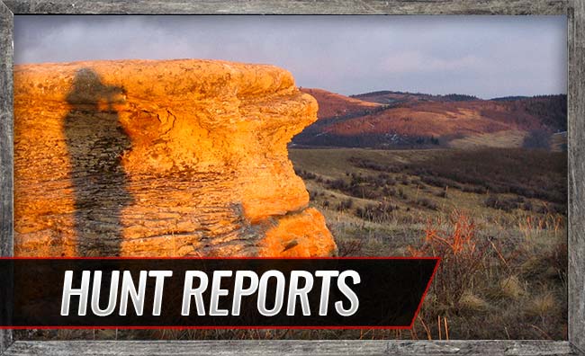 Hunt Reports Willow Creek Outfitters Hunt Reports