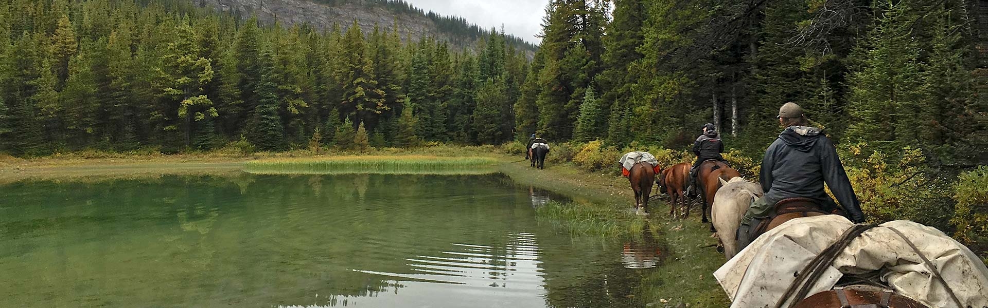 Willow Creek Outfitters Testimonials Willow Creek Outfitters Testimonials