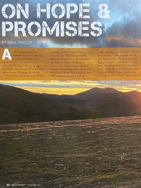 By Paul Taylor - Wild Sheep Magazine - Summer 2022 On Hope & Promises