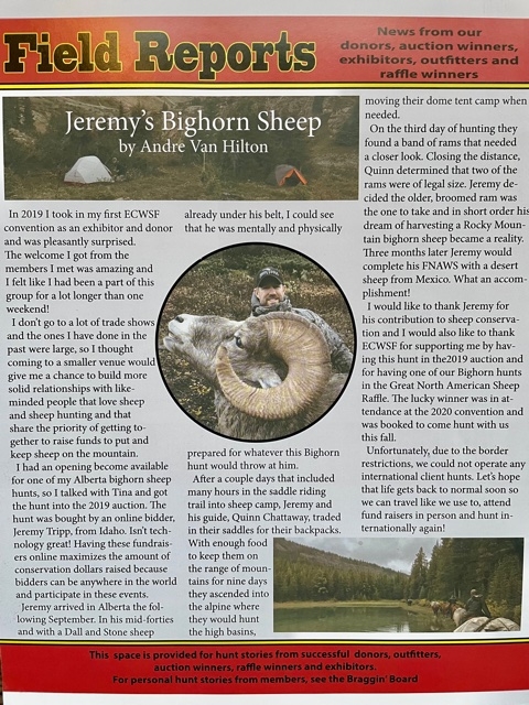 By André van Hilten - Peaks and Valleys - Spring/Summer 2022 Jeremy's Bighorn Sheep